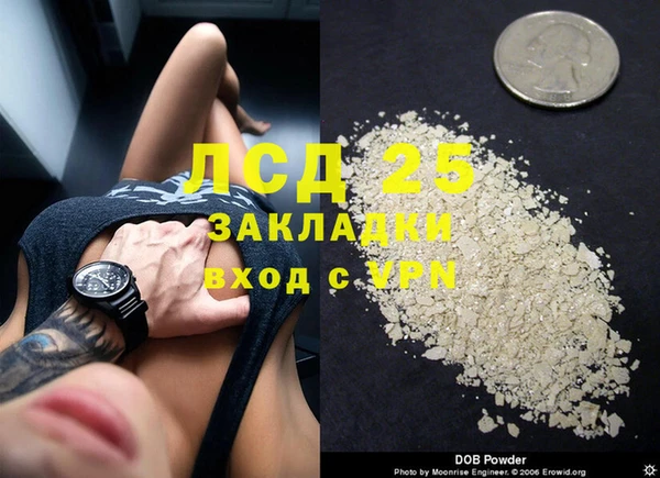 прущие грибы Новодвинск