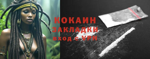 трава Няндома