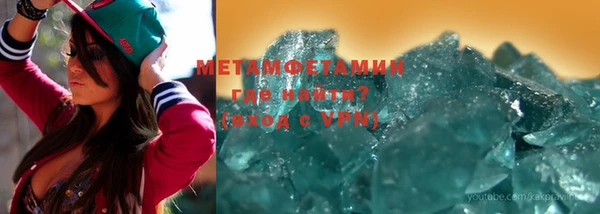 прущие грибы Новодвинск