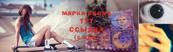 трава Няндома