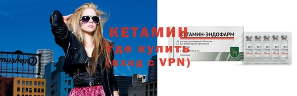 прущие грибы Новодвинск