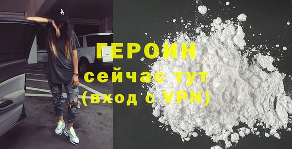 прущие грибы Новодвинск
