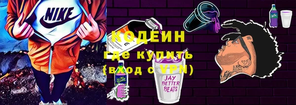 прущие грибы Новодвинск