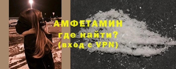 трава Няндома