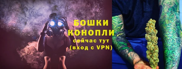 прущие грибы Новодвинск