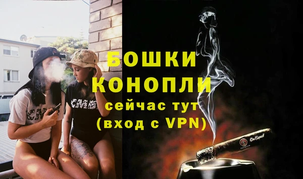 прущие грибы Новодвинск