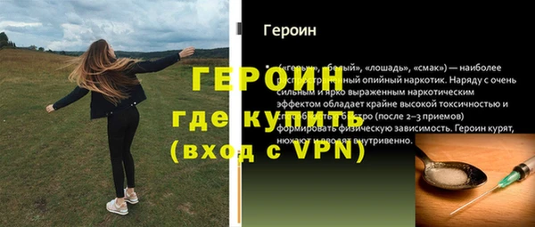 прущие грибы Новодвинск