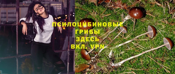 ГАЛЛЮЦИНОГЕННЫЕ ГРИБЫ Новокубанск