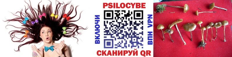 Галлюциногенные грибы ЛСД где найти Переславль-Залесский