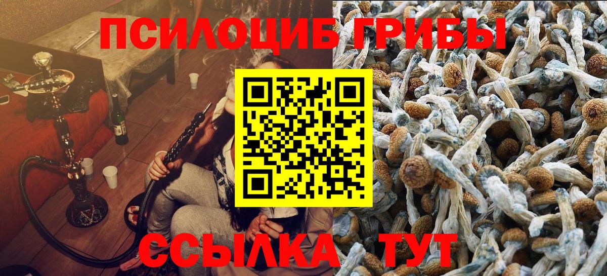 Галлюциногенные грибы Psilocybe Переславль-Залесский