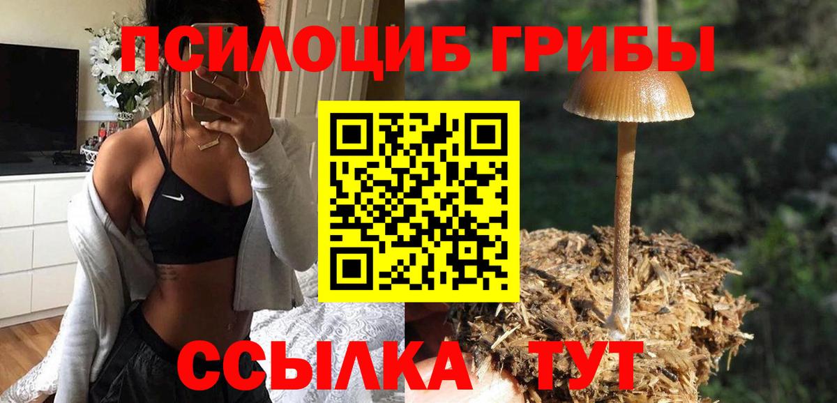 Галлюциногенные грибы мицелий  Псилоцибиновые грибы GOLDEN TEACHER  Вход с VPN  Переславль-Залесский 