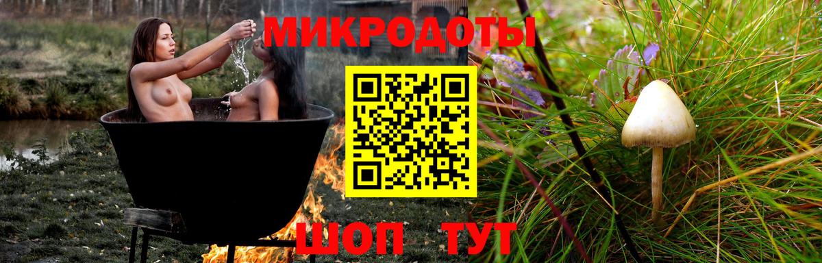 Псилоцибиновые грибы Psilocybe Переславль-Залесский