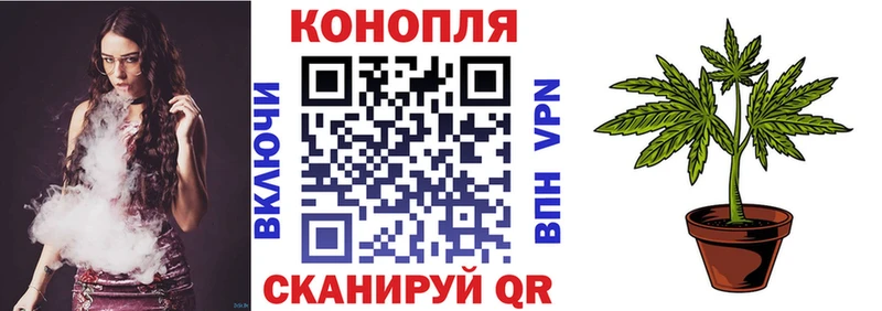 Бошки Шишки Bruce Banner  omg рабочий сайт  Переславль-Залесский 